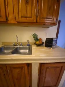 eine Küchentheke mit Spüle und Ananas darauf in der Unterkunft Gloria’s Cozy Apartment in La Romana
