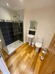 a bathroom with a shower and a toilet and a sink at Sherrabeg Cottage in Newtonmore