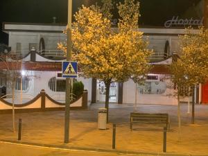 un banc dans une rue avec des arbres devant un bâtiment dans l'établissement HOSTAL-CAFE GUTGRECO, à Sonseca