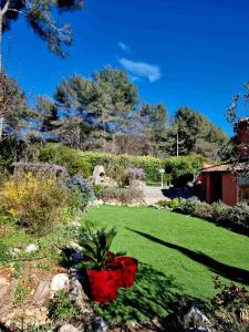 羅科福爾雷潘的住宿－Mas d'Azur，绿草成荫的院子