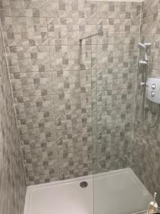 La salle de bains est pourvue d'une douche avec une porte en verre. dans l'établissement Tara Suite Private Room, à Dublin