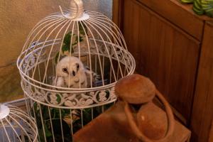un chien blanc assis dans une cage pour oiseaux dans l'établissement Stay at Hogwarts Harry Potter's Home, Free Parking, Pets Allowed, à Kissimmee