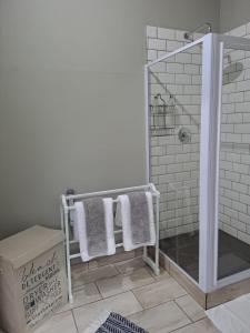 a bathroom with a shower with towels and a box at Happy Daze (Self catering) in Swellendam