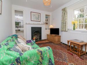 een woonkamer met een groene bank en een open haard bij Blackbird Cottage in Bideford