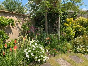 un jardín con muchos tipos diferentes de flores en The Barn @ Bishops Lydeard, en Taunton