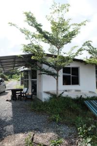 une maison avec une table de pique-nique et un arbre en face de celle-ci dans l'établissement Qimmy Riverside Guesthouse, à Kuala Terengganu