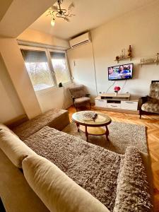 uma sala de estar com um sofá e uma mesa em Aleksandra 2 em Skopje