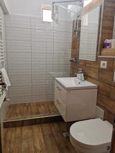 a bathroom with a toilet and a sink and a shower at Amy Apartment in Piatra Neamţ +17 photos