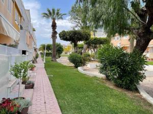 a garden with plants and palm trees next to a building at Awesome Villa in El Moncayo with 3 Bedrooms in El Moncayo