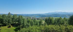 Mizerna的住宿－Mizerna Cicha Noclegi Blisko Natury，享有湖泊和山脉小镇的空中景致