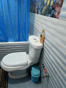 uma casa de banho com um WC e uma cortina de chuveiro azul em شقه فندقيه em ‘Ezbet el-Insha