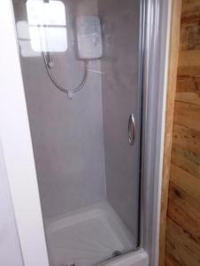 a shower with a glass door in a bathroom at Charming 1-Bed Cabin in oving in Chichester