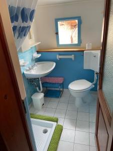 a bathroom with a white toilet and a sink at Casa Tasso in Reggello