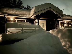Nymon Mountain Lodge v zimě