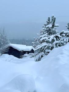 Nymon Mountain Lodge v zimě