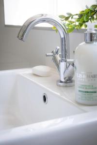 a sink with a bottle of less thanher detergent next to it at The Breckland at Sugar Lane Farm in Bollington