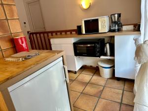 a kitchen with a counter top with a microwave and a microwave at Mas Du Pont De Laute in Le Cailar