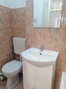 y baño con lavabo blanco y aseo. en Affordable apartment close to the castle, en Hunedoara