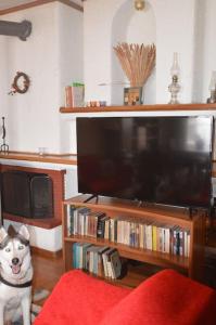 un perro sentado en una sala de estar con una gran televisión en tania's view, en Kastoria