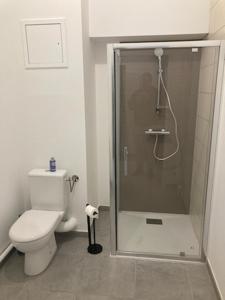 W łazience znajduje się toaleta i przeszklony prysznic. w obiekcie Les chti picards w mieście Berck-sur-Mer