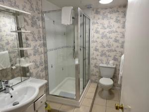a bathroom with a shower and a toilet and a sink at The Chetwynde in Barrow in Furness
