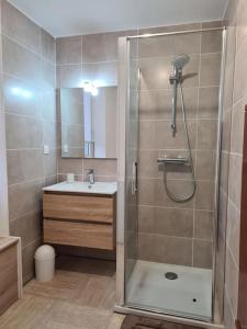 La salle de bains est pourvue d'une douche et d'un lavabo. dans l'établissement Maison de charme au Vallon du Stang-Alar, à Brest