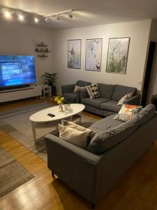 sala de estar con sofá, mesa y TV en Bedrooms for rent in a Villa Eurovisionsguests en Staffanstorp