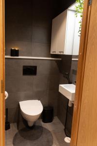 a bathroom with a toilet and a sink at Levi Cranberry in Sirkka
