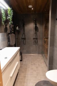 希爾卡的住宿－Levi Cranberry，带淋浴和盥洗盆的浴室
