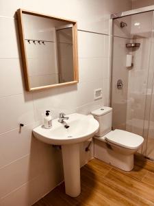 een badkamer met een wastafel, een toilet en een spiegel bij Apartamentos San Nicolás in Logroño