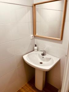 een badkamer met een wastafel en een spiegel bij Apartamentos San Nicolás in Logroño