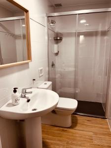 een badkamer met een wastafel, een toilet en een douche bij Apartamentos San Nicolás in Logroño