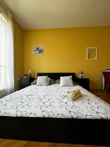 Postel nebo postele na pokoji v ubytování Extralarge Queen Room in the Heart of Bratislava with Terrace