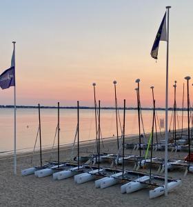 拉波勒的住宿－Maison de famille La Baule les pins，一组冲浪板在海滩上排成一排