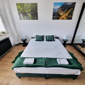 ein Schlafzimmer mit einem großen weißen Bett mit grünen Kissen in der Unterkunft Na Szczycie in Chełm