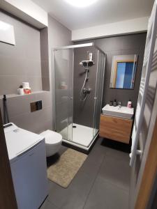 a bathroom with a shower and a toilet and a sink at Rezidencia Albelli in Košice