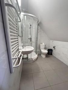 a bathroom with a shower and a sink and a toilet at Ośrodek Konferencyjno-Wypoczynkowy "Krucze Skały" w Karpaczu in Karpacz