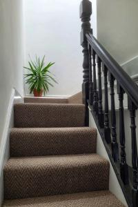 a stairway with a potted plant on it at Sgwâr in Menai Bridge