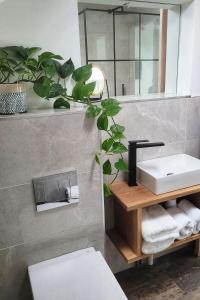 梅奈橋的住宿－Sgwâr，一间带卫生间、水槽和镜子的浴室