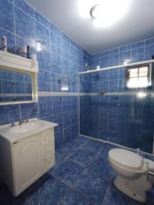 a blue tiled bathroom with a toilet and a shower at Sítio São Sebastião em Monte Sião-MG in Monte Sião
