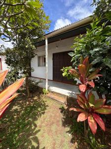 a house with a tree and a garden in front of it at Hostal Vaianny in Hanga Roa