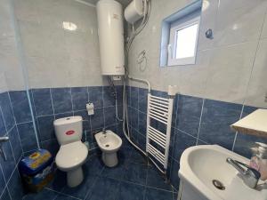 ein Bad mit einem WC und einem Waschbecken in der Unterkunft Къща за гости ДАП Баните in Banite