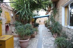 einen Gehweg mit Topfpflanzen an der Seite eines Gebäudes in der Unterkunft Hotel DONIA in Hammam Chott