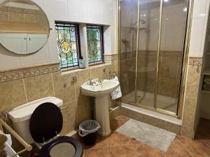 a bathroom with a toilet and a sink and a shower at Trowbridge Lodge in Trowbridge