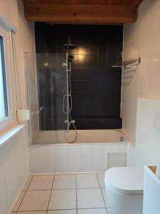 La salle de bains est pourvue d'une douche et de toilettes. dans l'établissement Ferienwohnung Casa Karin, à Bodman-Ludwigshafen