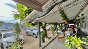 Fotografie z fotogalerie ubytování Hotel Balcon de Oro Curumani v destinaci Curumaní