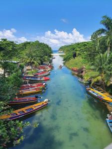 een groep boten in een rivier bij Cozy 2 bed in Ocho Rios in Ocho Rios