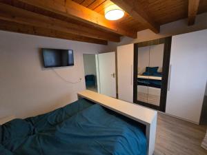 - une chambre avec un lit et une télévision à écran plat dans l'établissement Ferienwohnung Casa Karin, à Bodman-Ludwigshafen