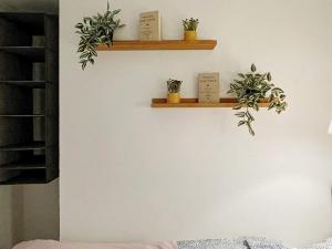 a wall with two shelves with plants on it at Holiday home Norrtälje IV in Norrtälje