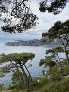 a view of a body of water with trees at Ti kaz'la in Martigues